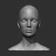 Female Head Realistic Base Mesh 3D Model - 3DOcean Item for Sale