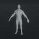 Male Body Base Mesh Animated and Rigged 3D Model 20k Polygons - 3DOcean Item for Sale