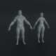 Strong Muscular Male and Female Body Base Mesh Animated and Rigged 3D Model 20k Polygons - 3DOcean Item for Sale