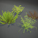 Cartoon Savanna Bushes and Shrubs 3D Model - 3DOcean Item for Sale
