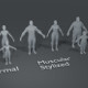 Human Body Base Mesh 10 3D Models Pack - 3DOcean Item for Sale