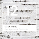 12 Birch Bark Background Textures - 3DOcean Item for Sale