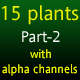 Plants for 3D scenes(part 2) - 3DOcean Item for Sale
