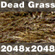 Dead Grass_01 - 3DOcean Item for Sale