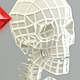 Low Poly Base Mesh Skeleton - 3DOcean Item for Sale