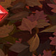 Dead Leaf Texture Set 01 - 3DOcean Item for Sale