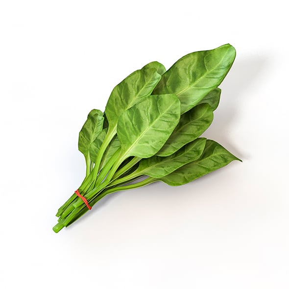 Spinach 3d model
