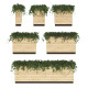 Ivy in a tub - 3DOcean Item for Sale