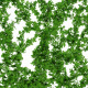 Vine leaves wall 2 items  - 3DOcean Item for Sale