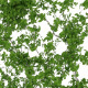 Vines wall 2 items  - 3DOcean Item for Sale