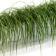 Grass on the shelves of 13 models - 3DOcean Item for Sale