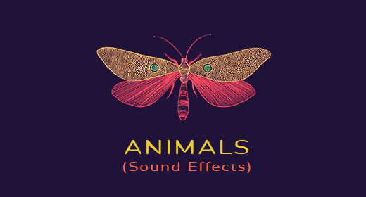 Animals Sound FX