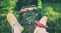Experimental Electronic, IDM
