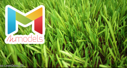 Realistic grass