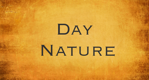 Day Nature