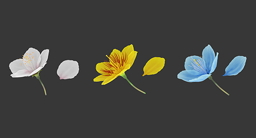 Flower Collection