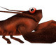 Low Poly Lobster - 3DOcean Item for Sale