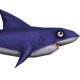 Low Poly Shark - 3DOcean Item for Sale