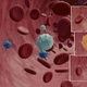Blood Flow - Stream Animation - VideoHive Item for Sale