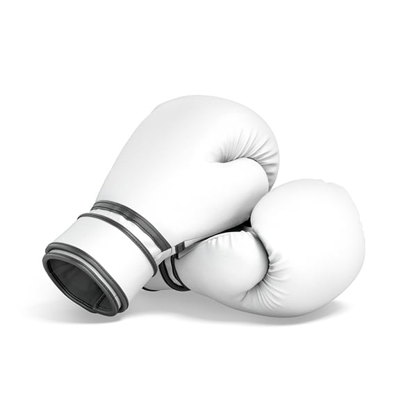 White Leather Boxing Gloves - Punch Sparring Kickboxing Equipment