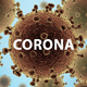 Corona Virus for Element 3D & Cinema 4D - 3DOcean Item for Sale