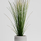 FEJKA Grass Plant & Pot 3D Model - 3DOcean Item for Sale