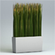 Deco Potted Fejka Grass Plant 3D Model for Element 3D & Cinema 4D - 3DOcean Item for Sale