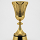 FIBA Basketball World Cup Trophy 3D Model - 3DOcean Item for Sale