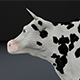 Dairy Cow 3d Model - 3DOcean Item for Sale