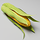 Corncob 3d Model - 3DOcean Item for Sale