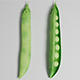Peas 3d Model - 3DOcean Item for Sale