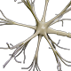Neuron 3d Model - 3DOcean Item for Sale