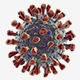Corona Virus - 3DOcean Item for Sale