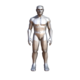Generic Male Low Poly Character - 3DOcean Item for Sale