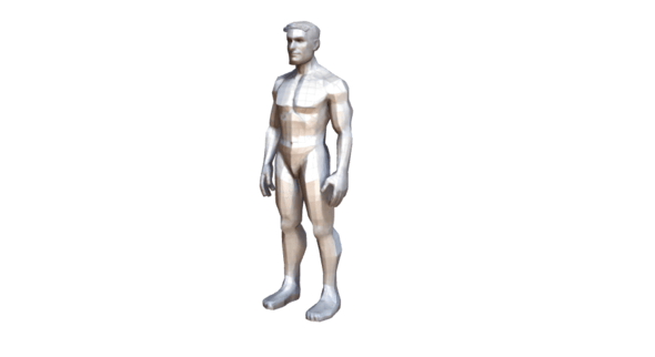 Generic Male Low Poly Character