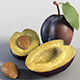 Plum - 3DOcean Item for Sale