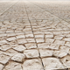 Paving Texture - 3DOcean Item for Sale